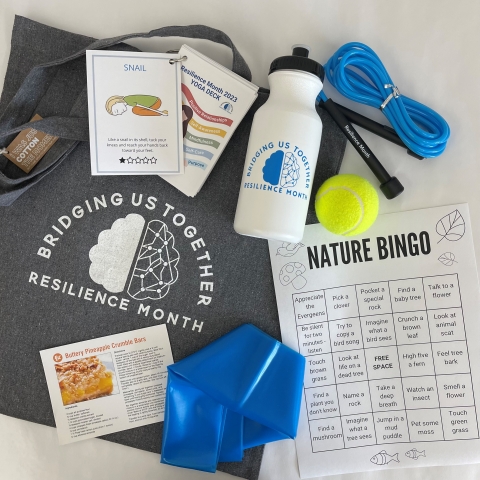Selection of items inside resilience kit