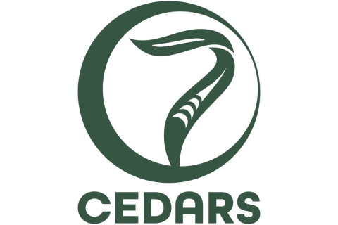 7 Cedars logo